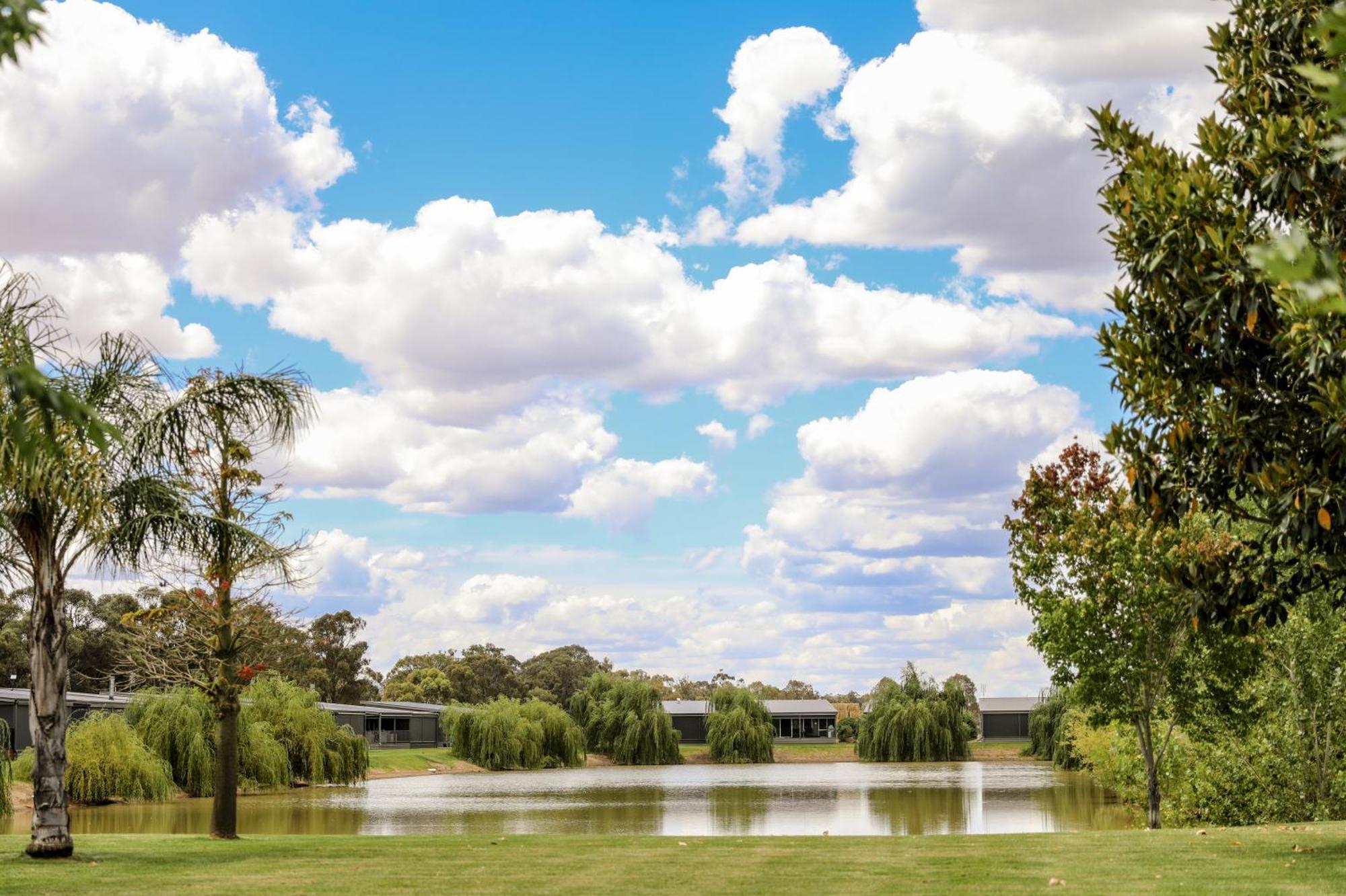 Discovery Parks - Moama Waters 외부 사진